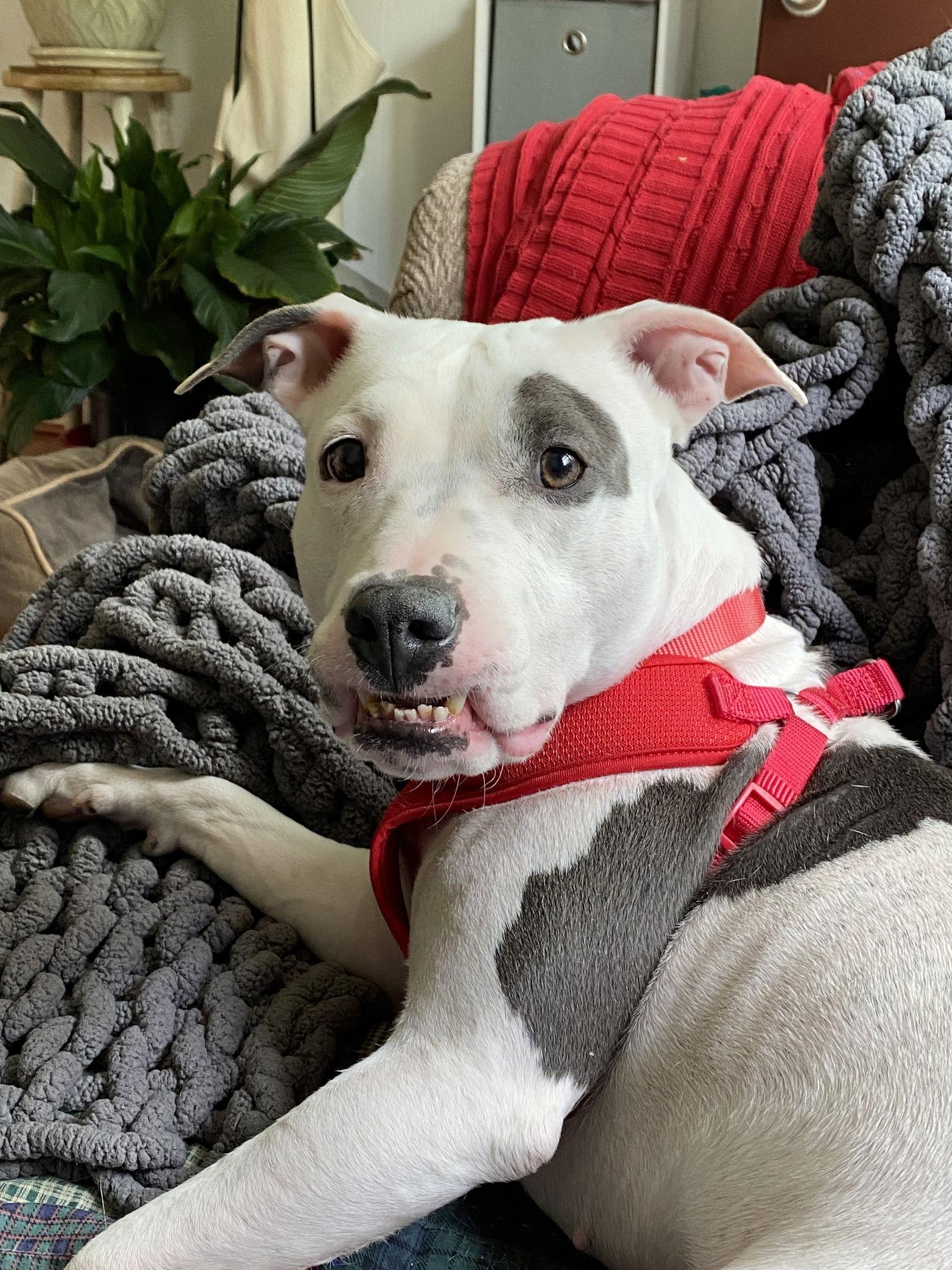 Princess Baby — thumbnail 2