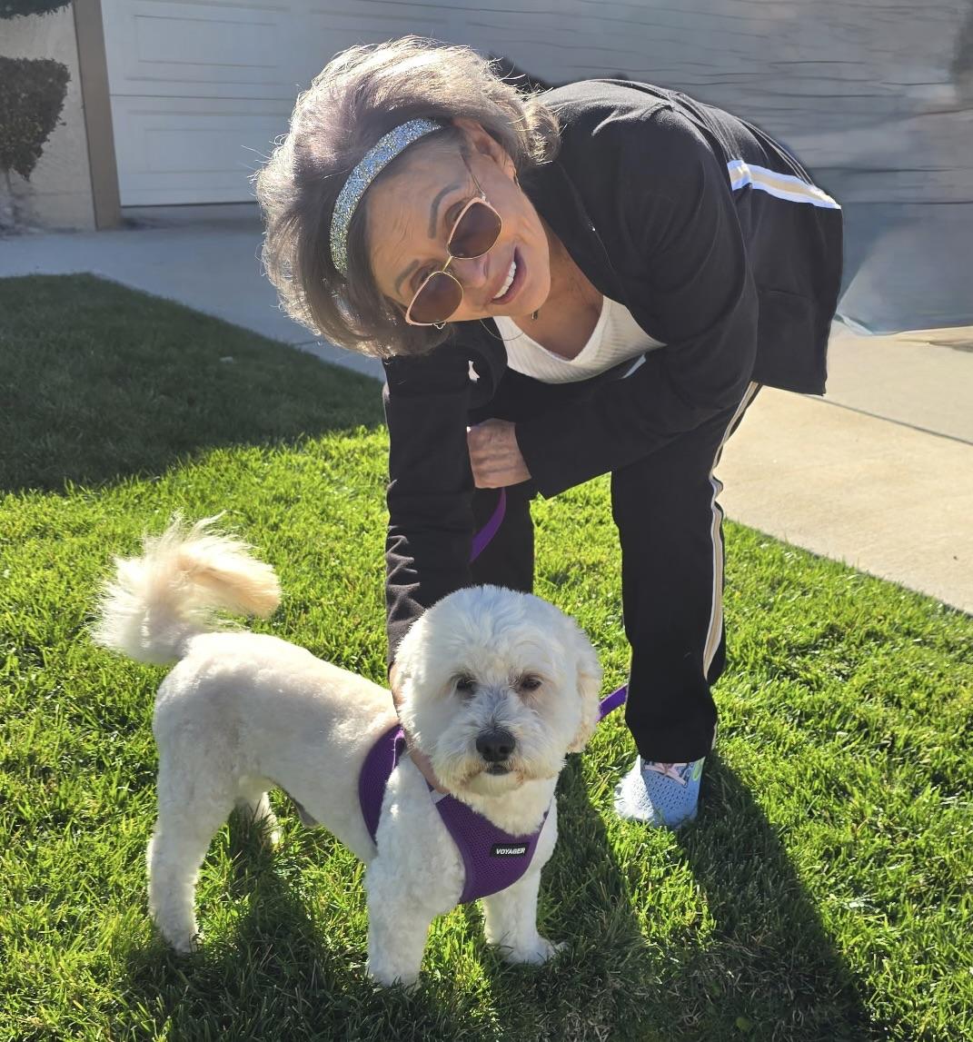 Enlarge Jackson #538, a Adoptable mixed breed in Placentia, CA image 2/6