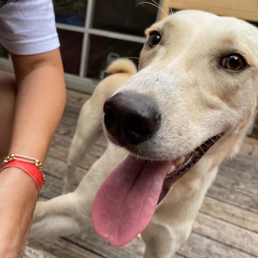 Atlas — thumbnail 2