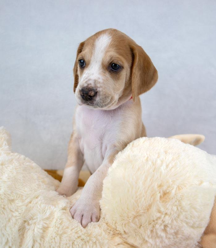 Lucinda — thumbnail 2