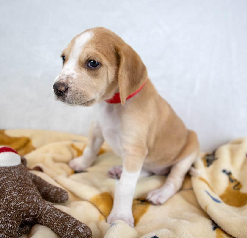 Lucinda — thumbnail 3