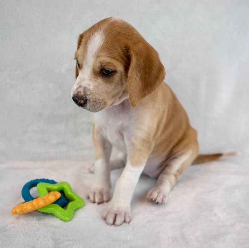 Lucinda — thumbnail 4