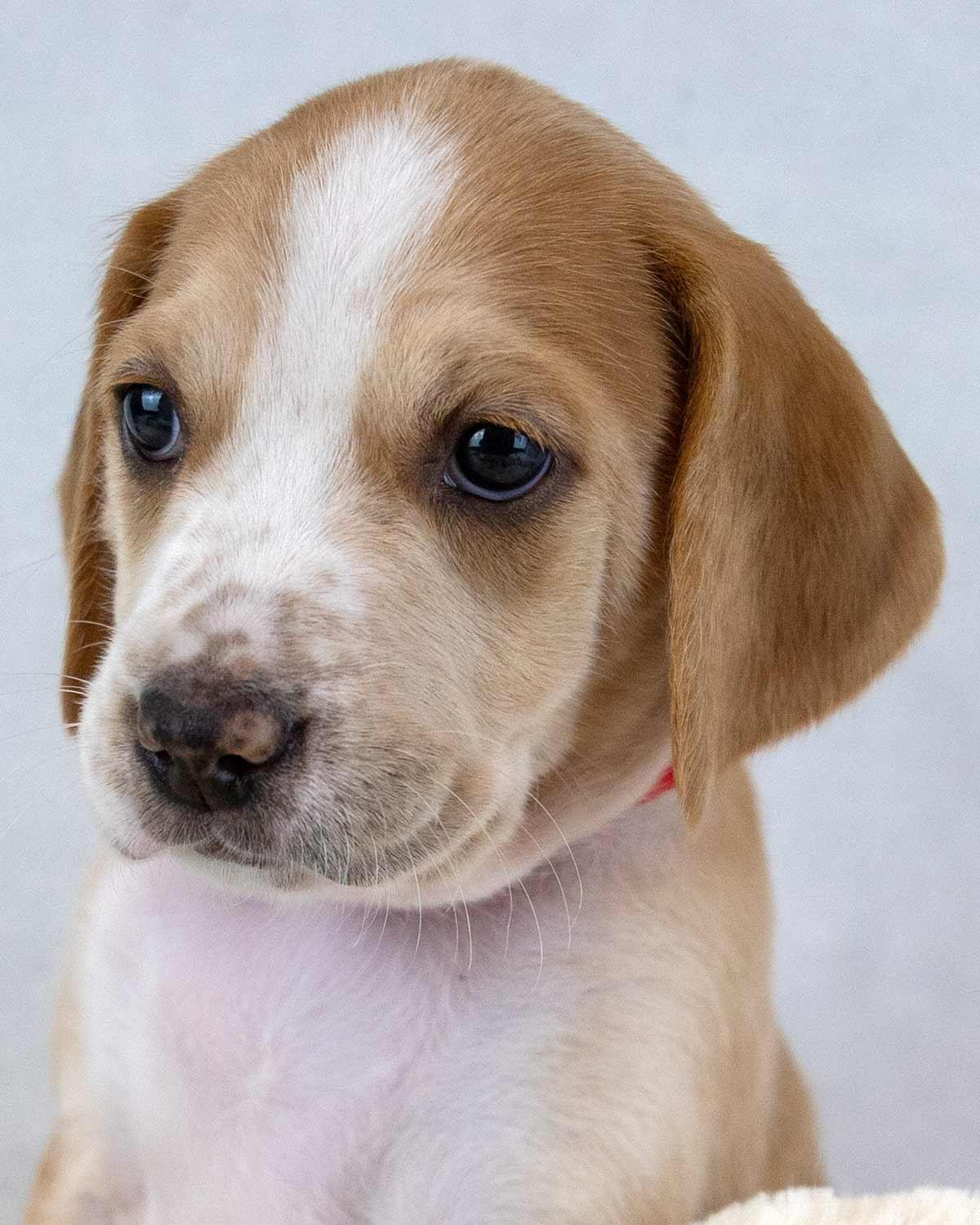 Lucinda — thumbnail 5