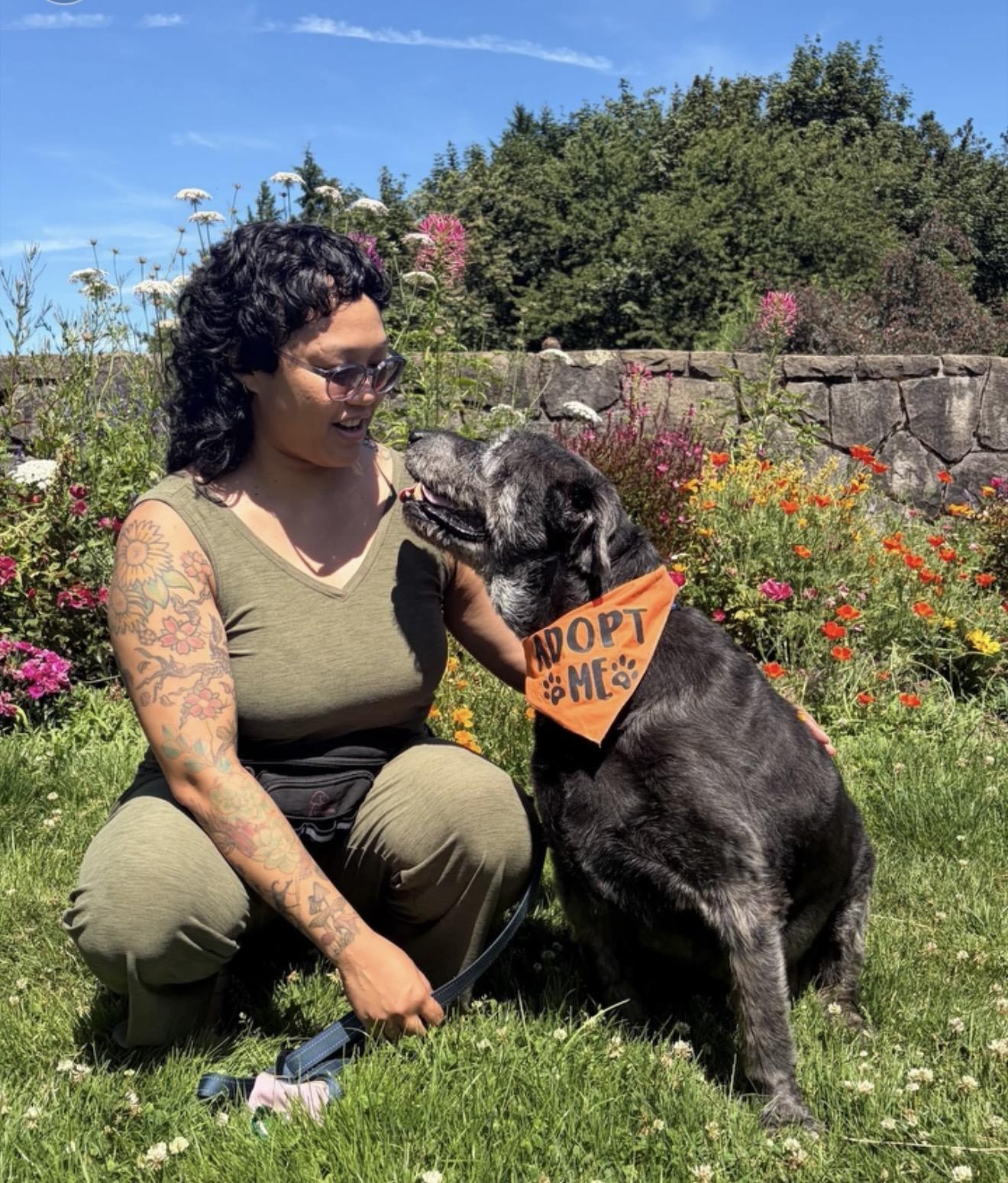 Winlock, a ADOPTABLE mixed breed in Beavercreek, OR image 3/6