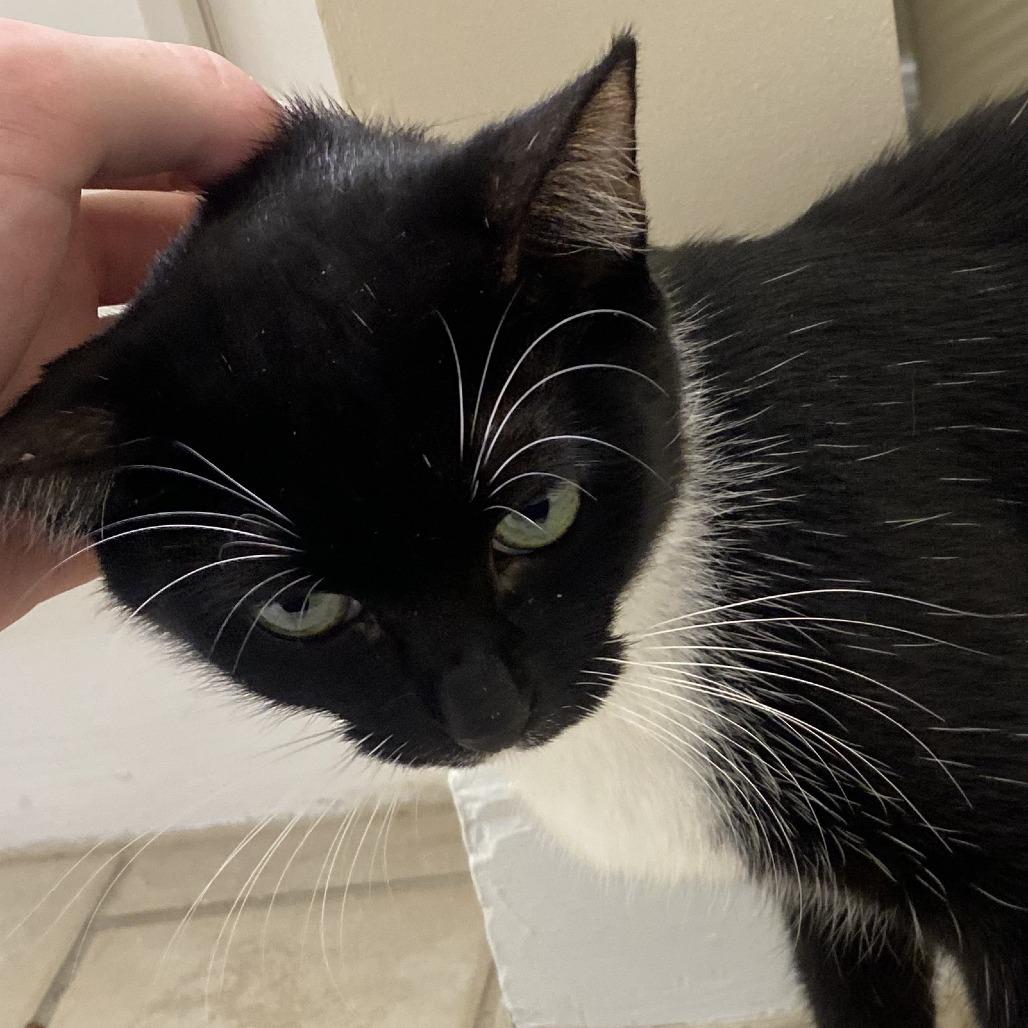 Maggie — thumbnail 3