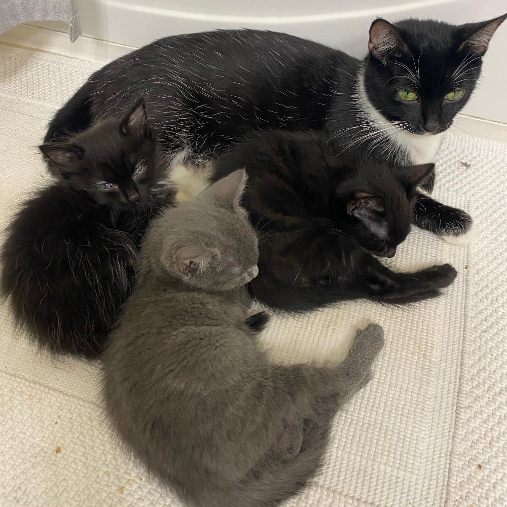 Maggie — thumbnail 4