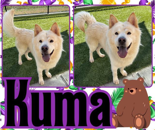 Kuma