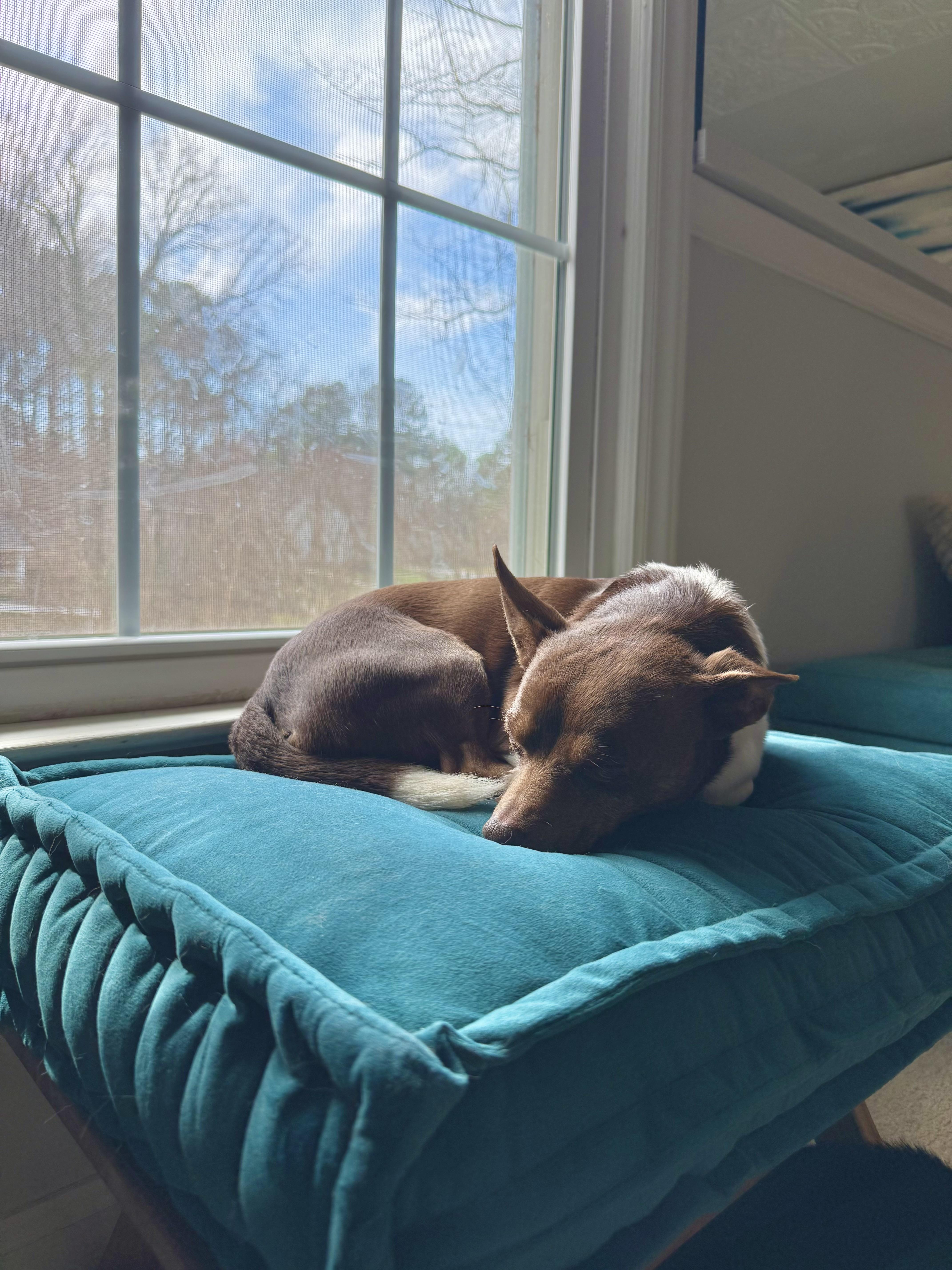 Jerry — thumbnail 3