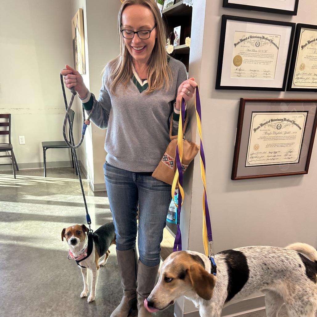 Enlarge Dove, a Adoptable mixed breed in Austin, TX image 3/6