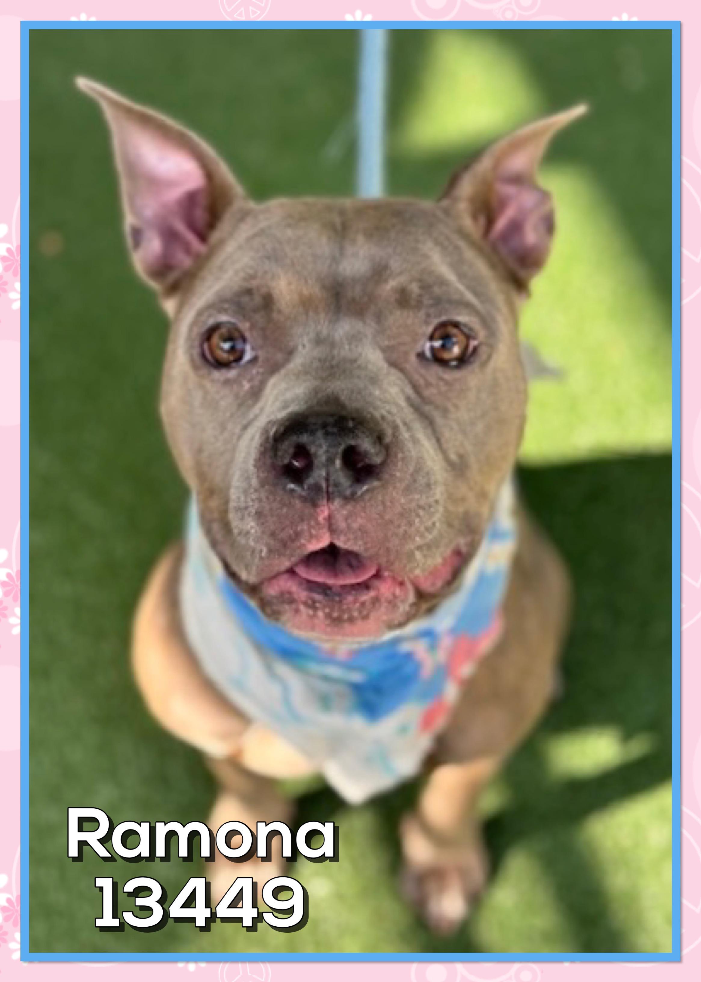 RAMONA