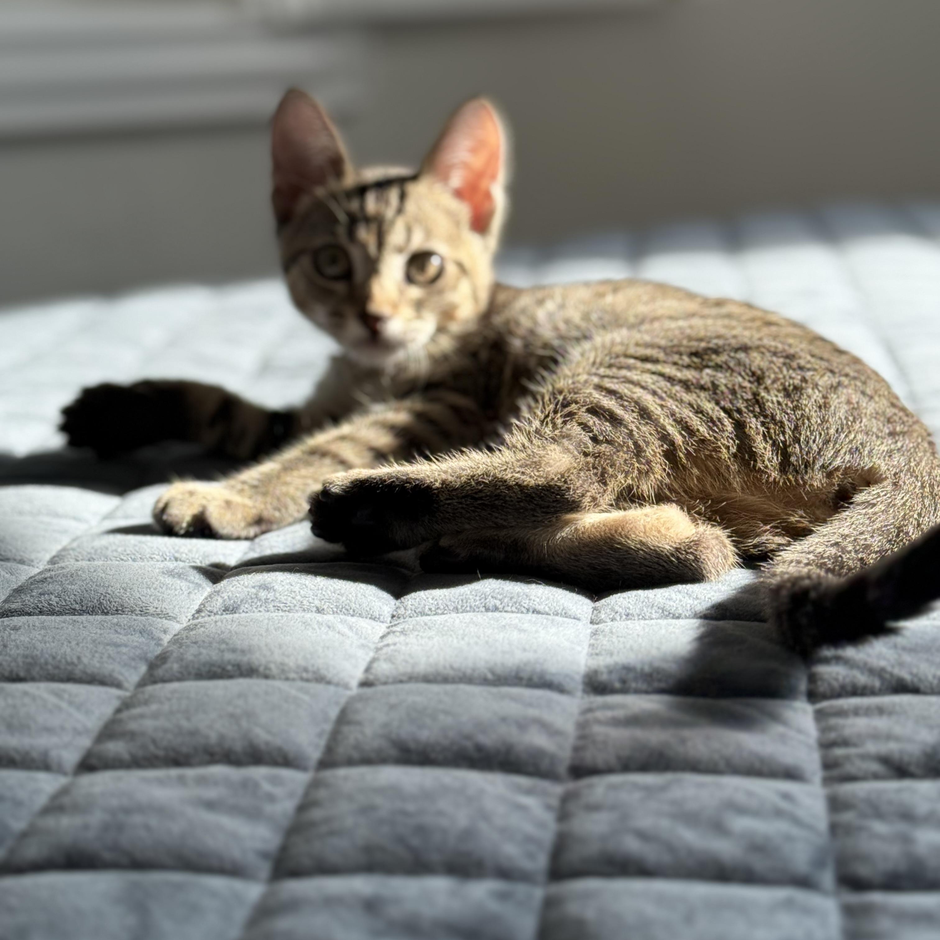 Eira — thumbnail 4