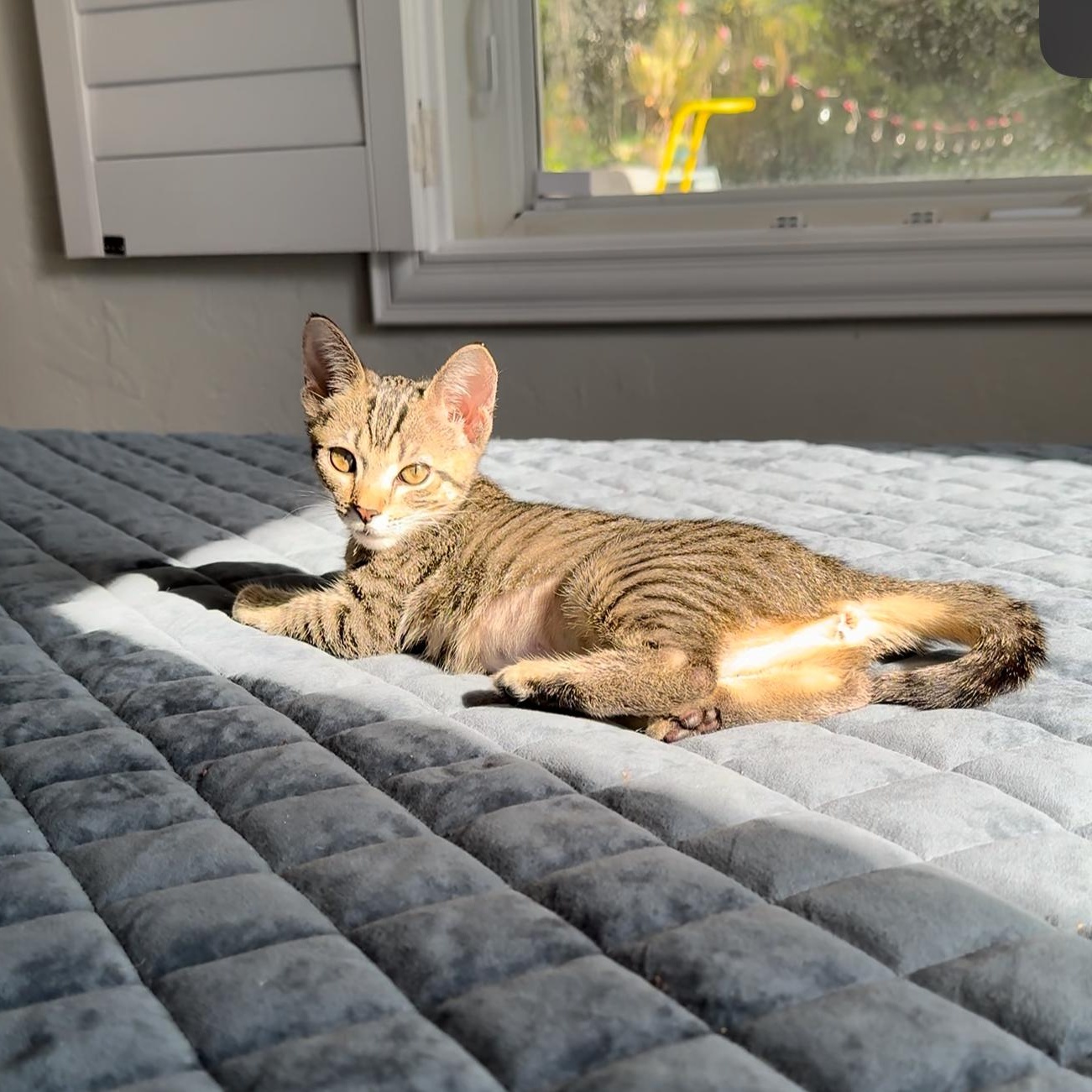 Eira — thumbnail 5