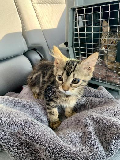 Milo & Fiona 5