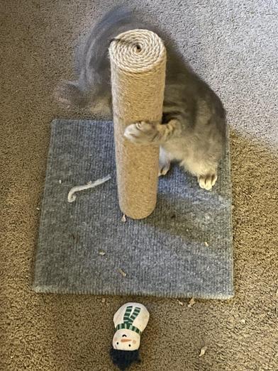 Milo & Fiona