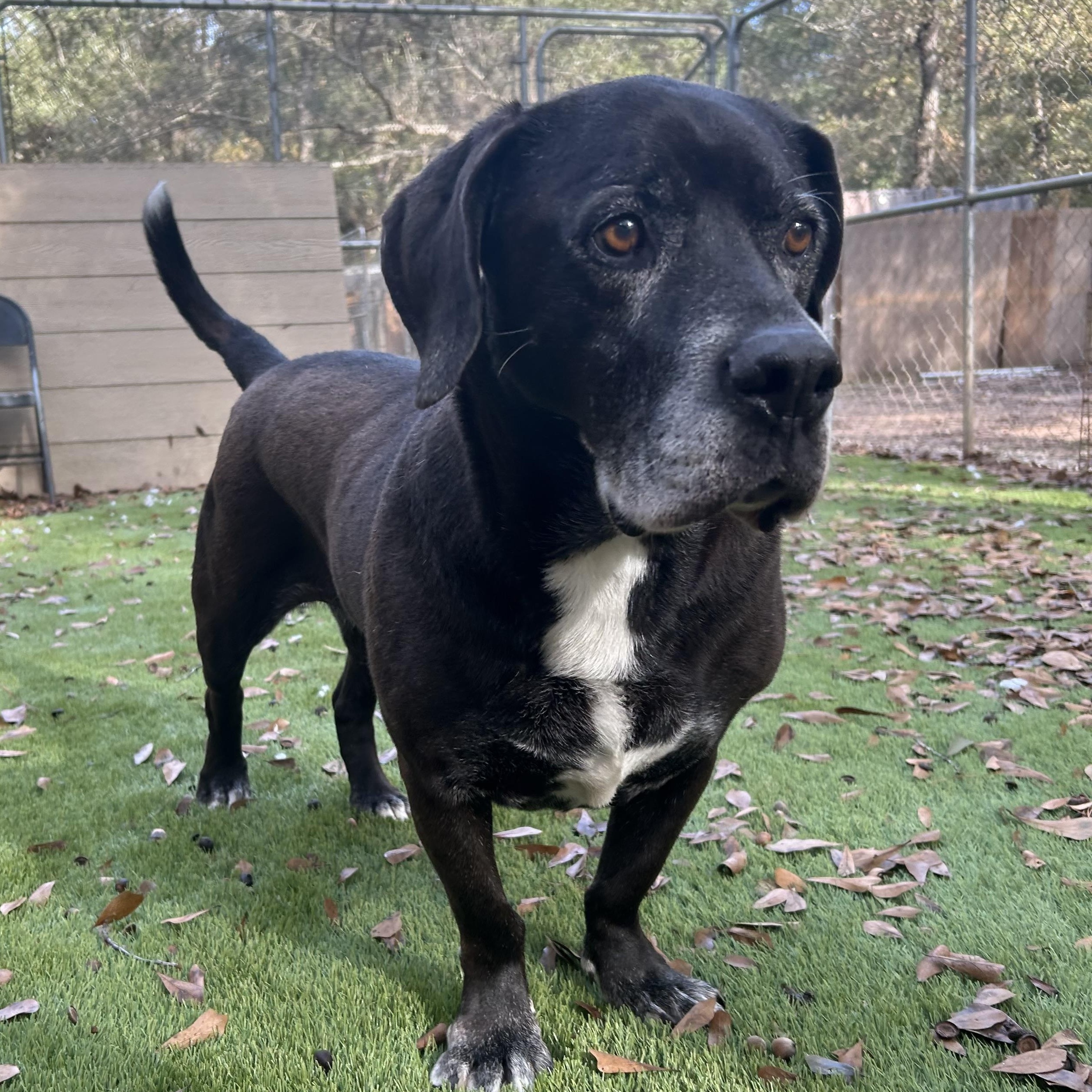 Little Foot thumbnail 3