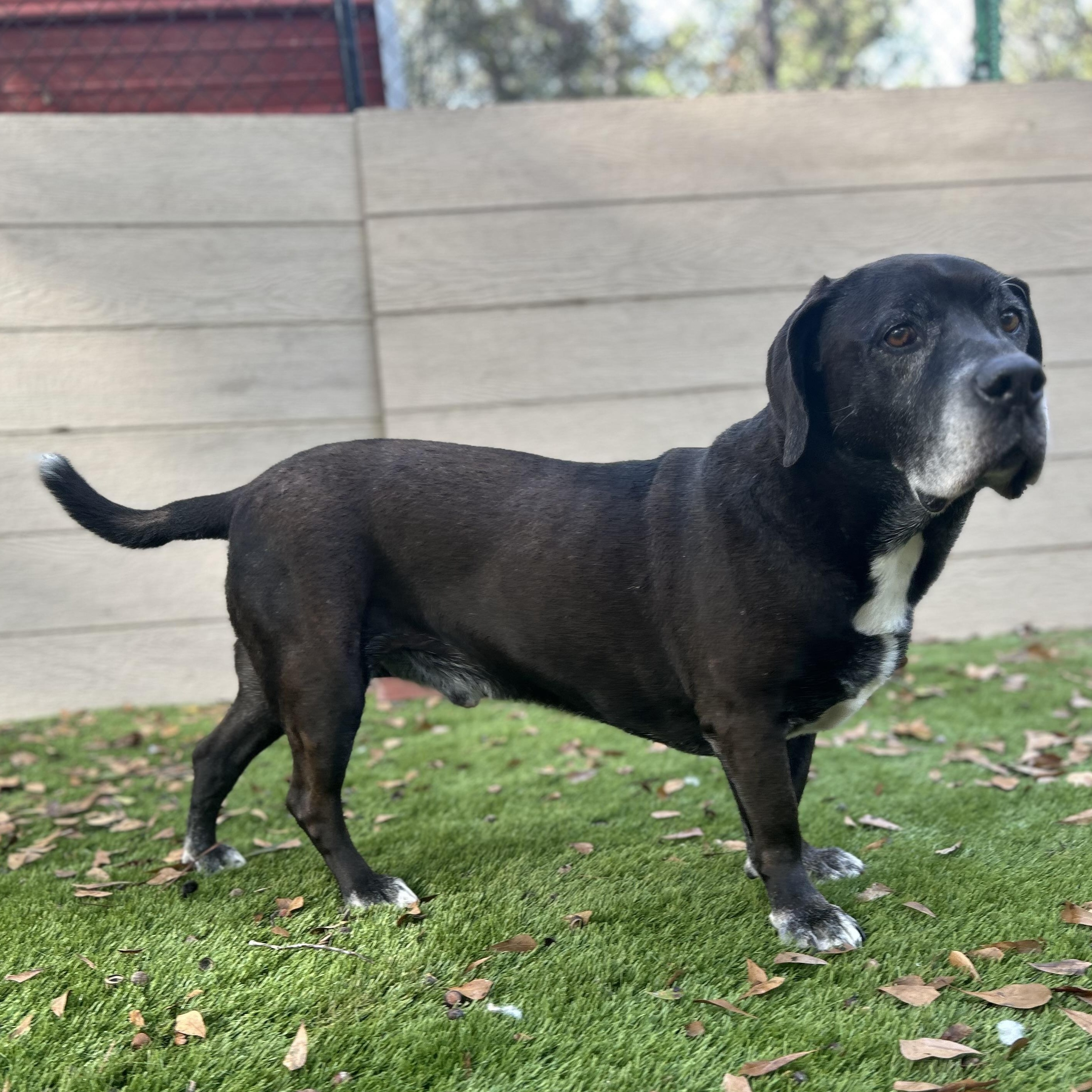 Little Foot thumbnail 5