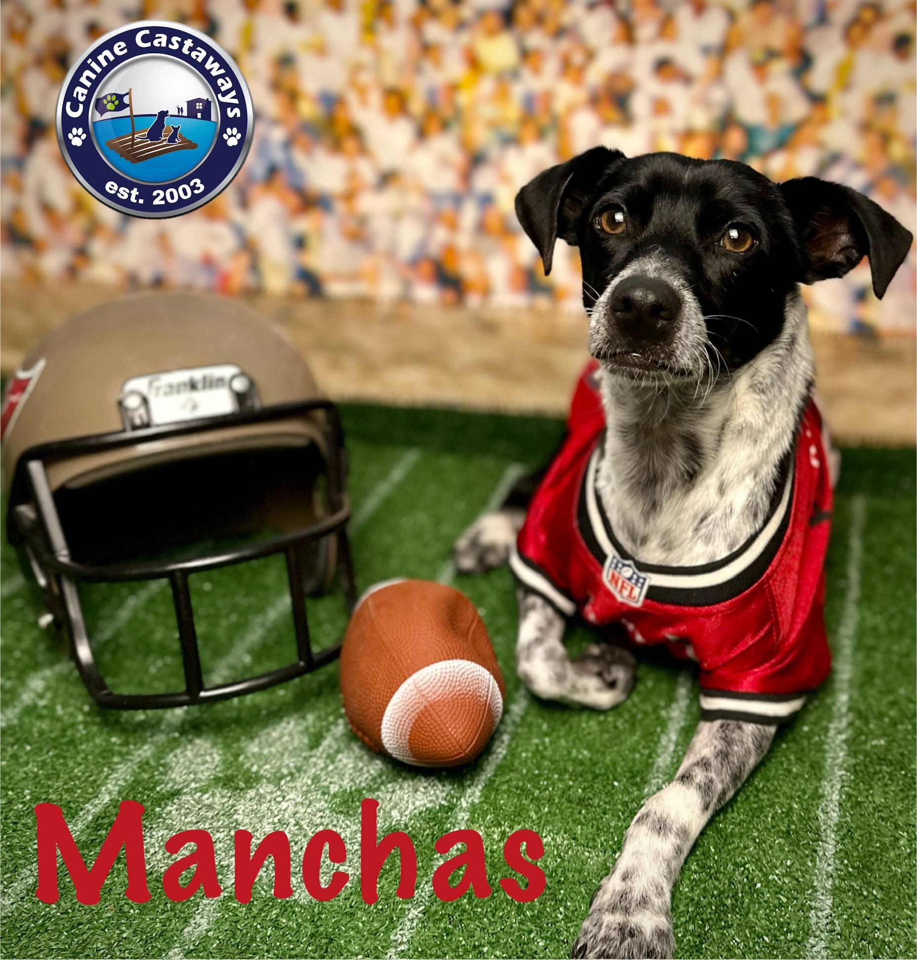 Manchas