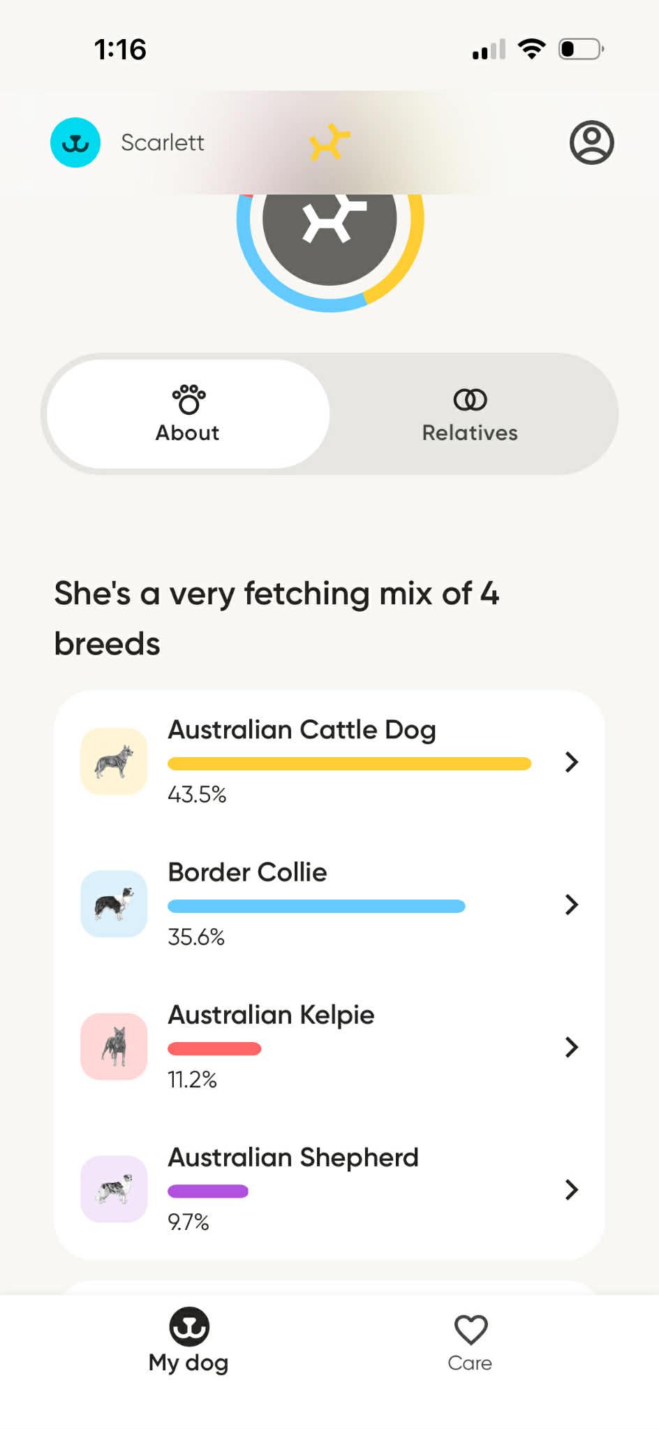 Enlarge SCARLETT, a ADOPTABLE mixed breed in Nampa, ID image 5/6