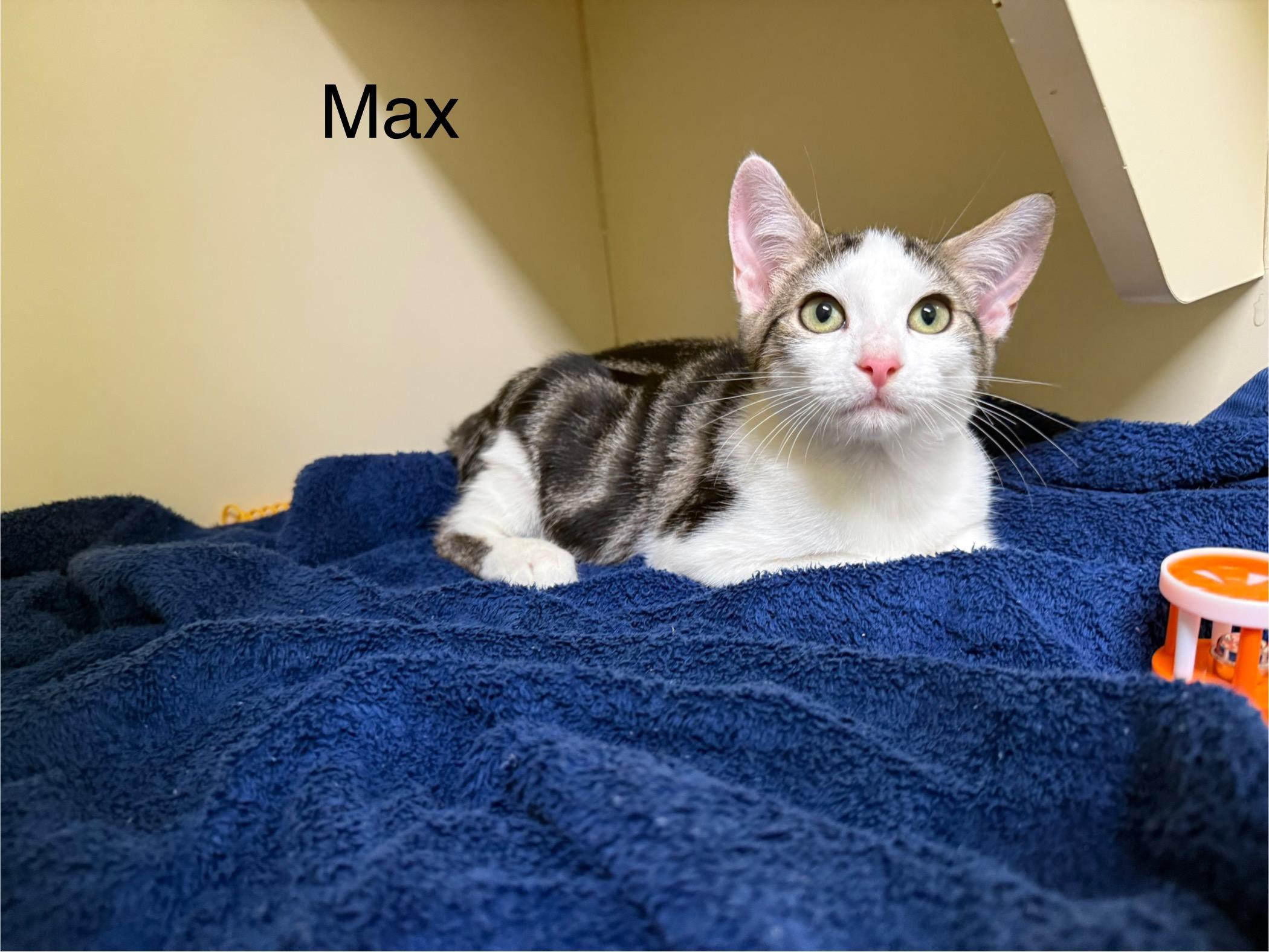 Max photo 3