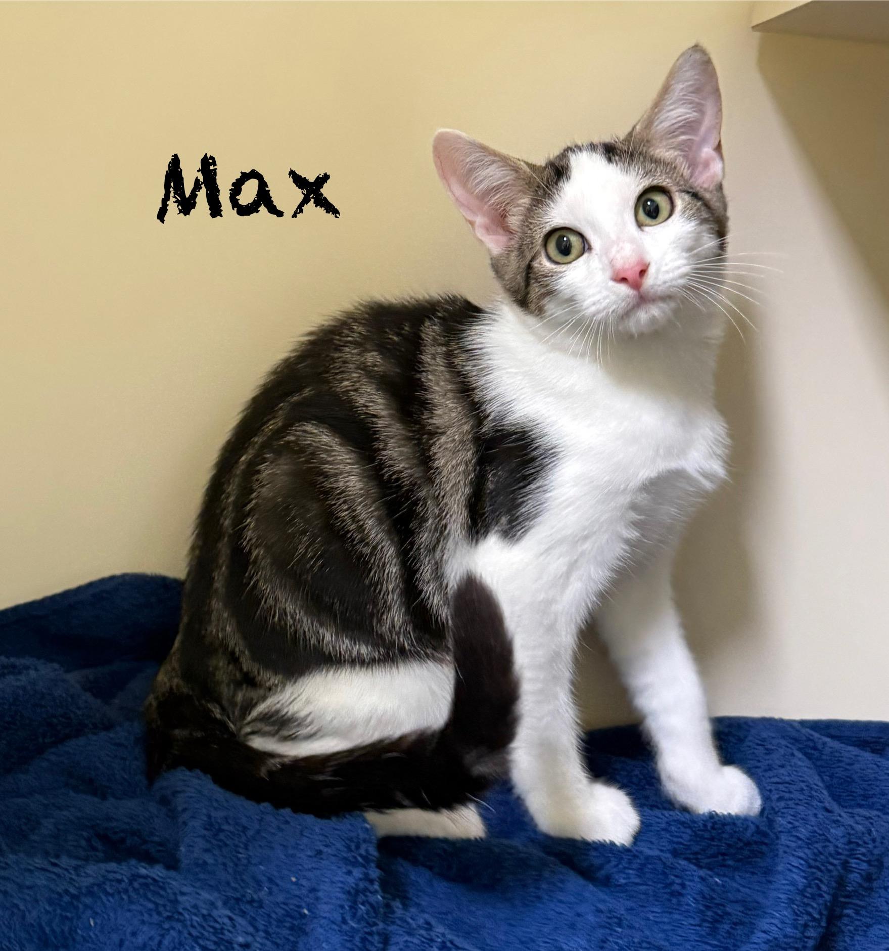 Max photo 2
