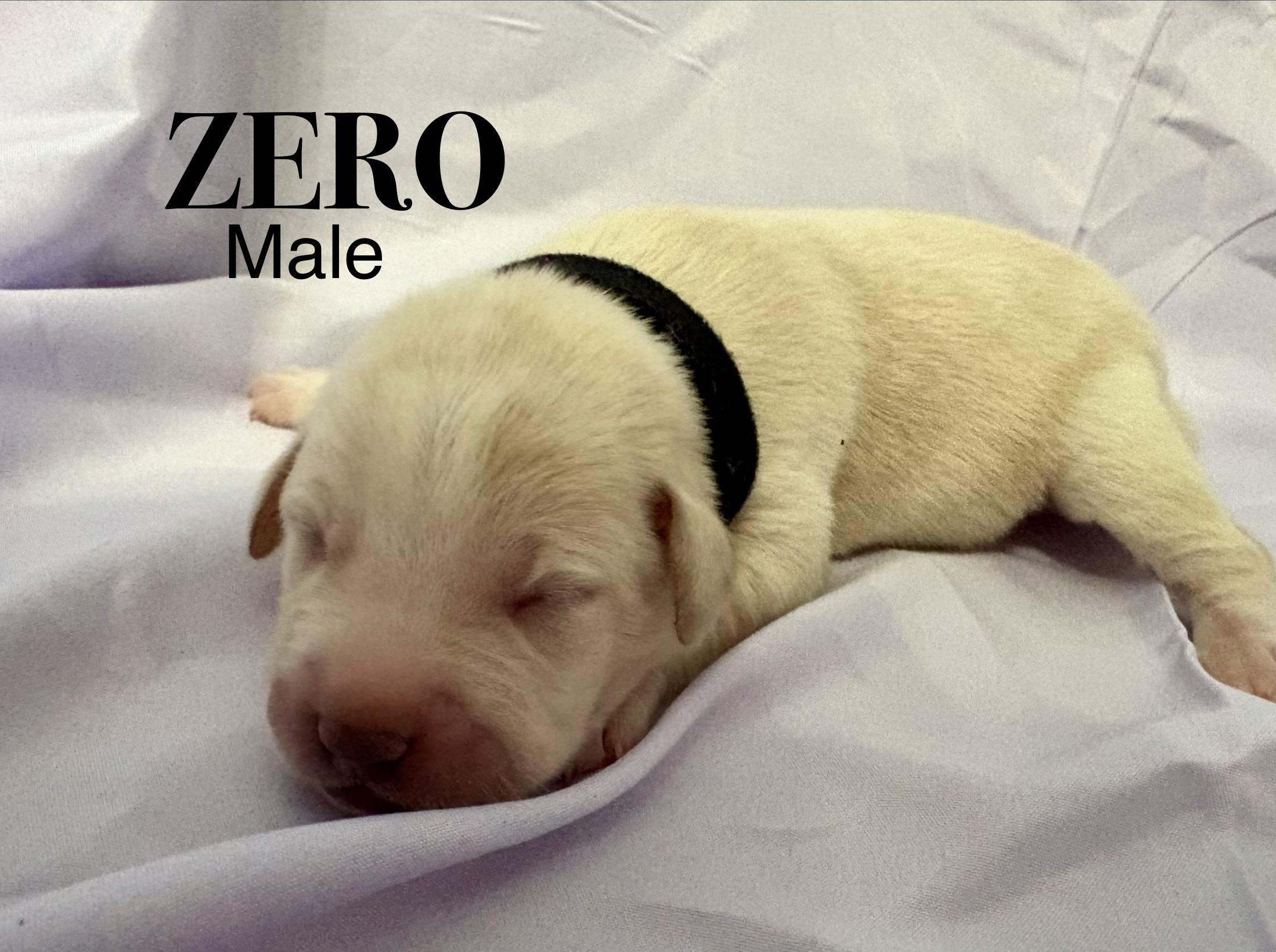 Zero (available soon)