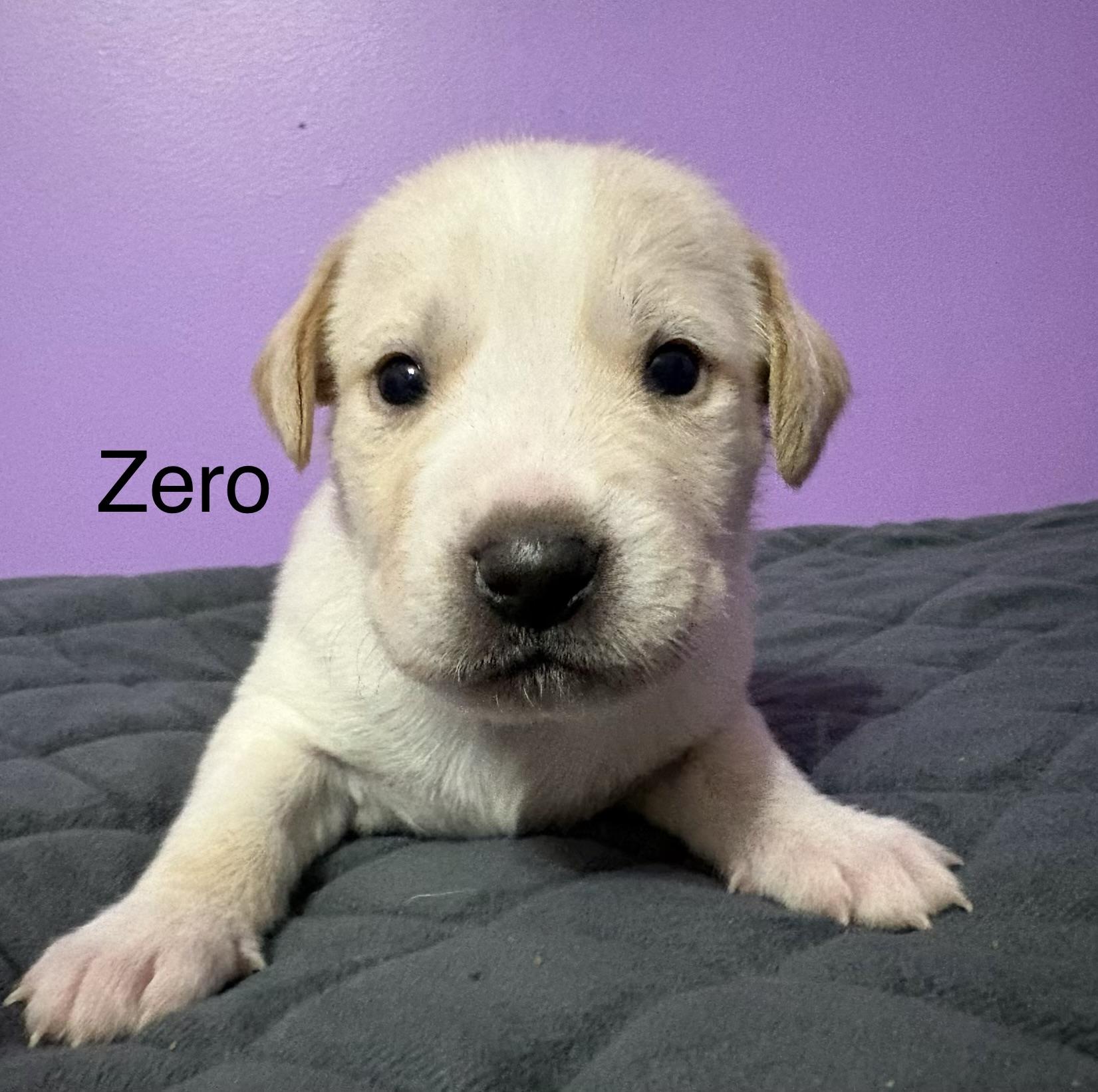 Zero (available soon)
