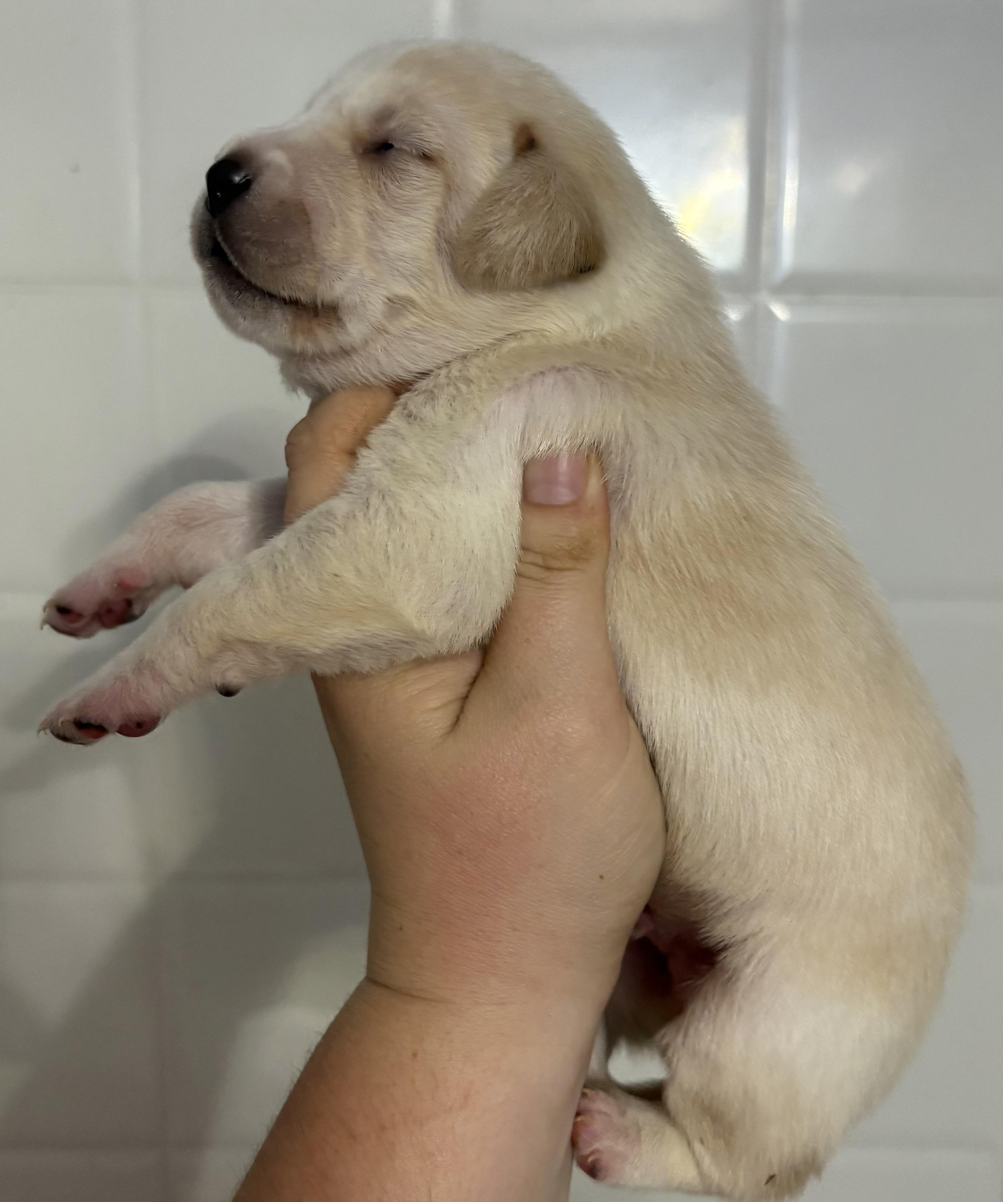 Zero (available soon)