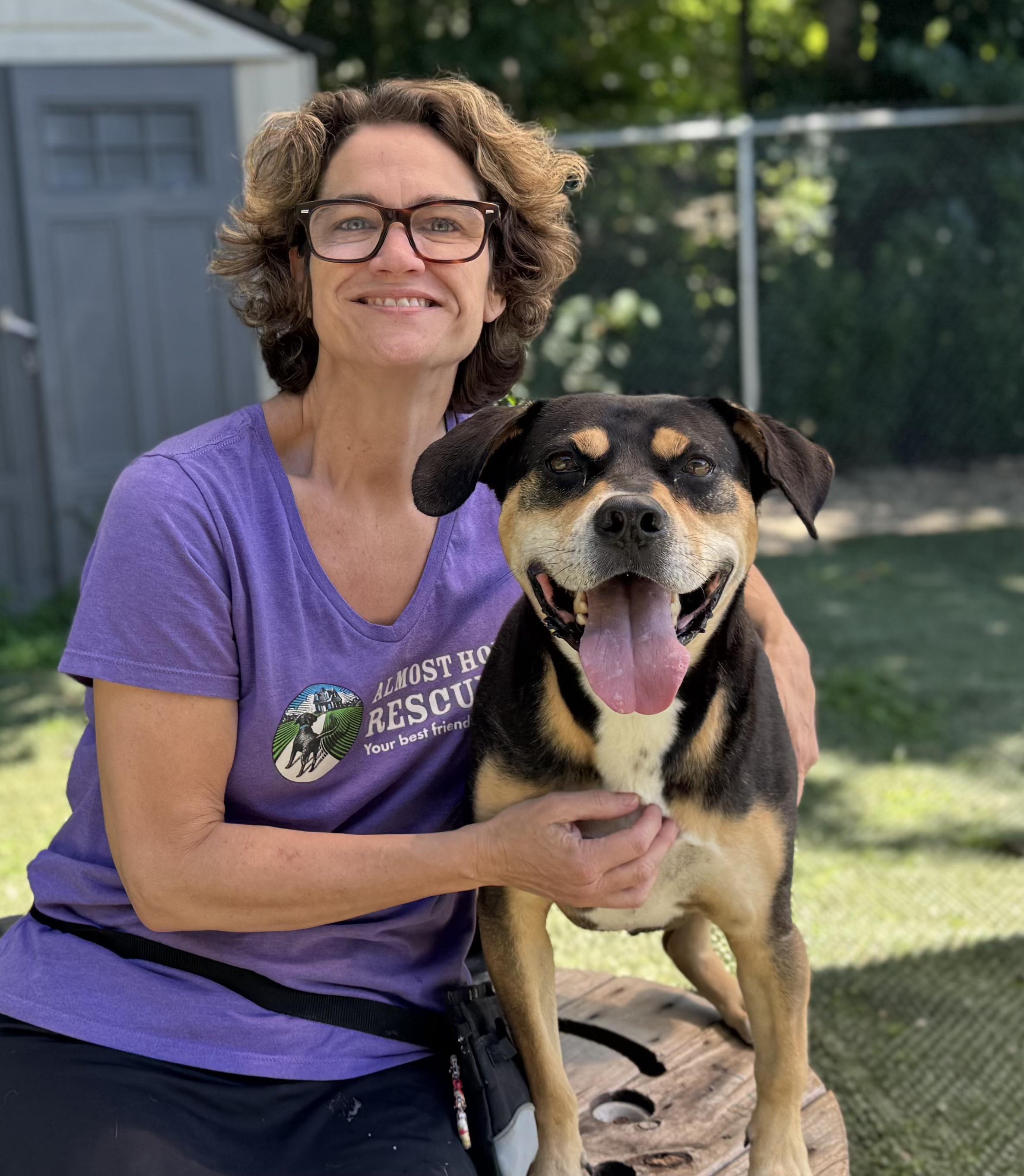 Beau is in Maine RR, a Adoptable mixed breed in South Portland, ME image 1/6