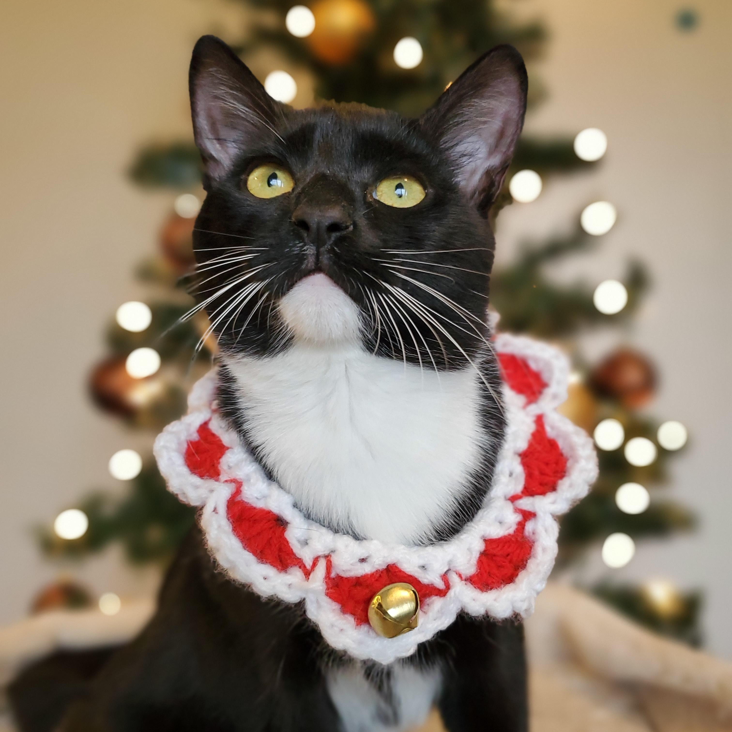 Kílauea thumbnail 2