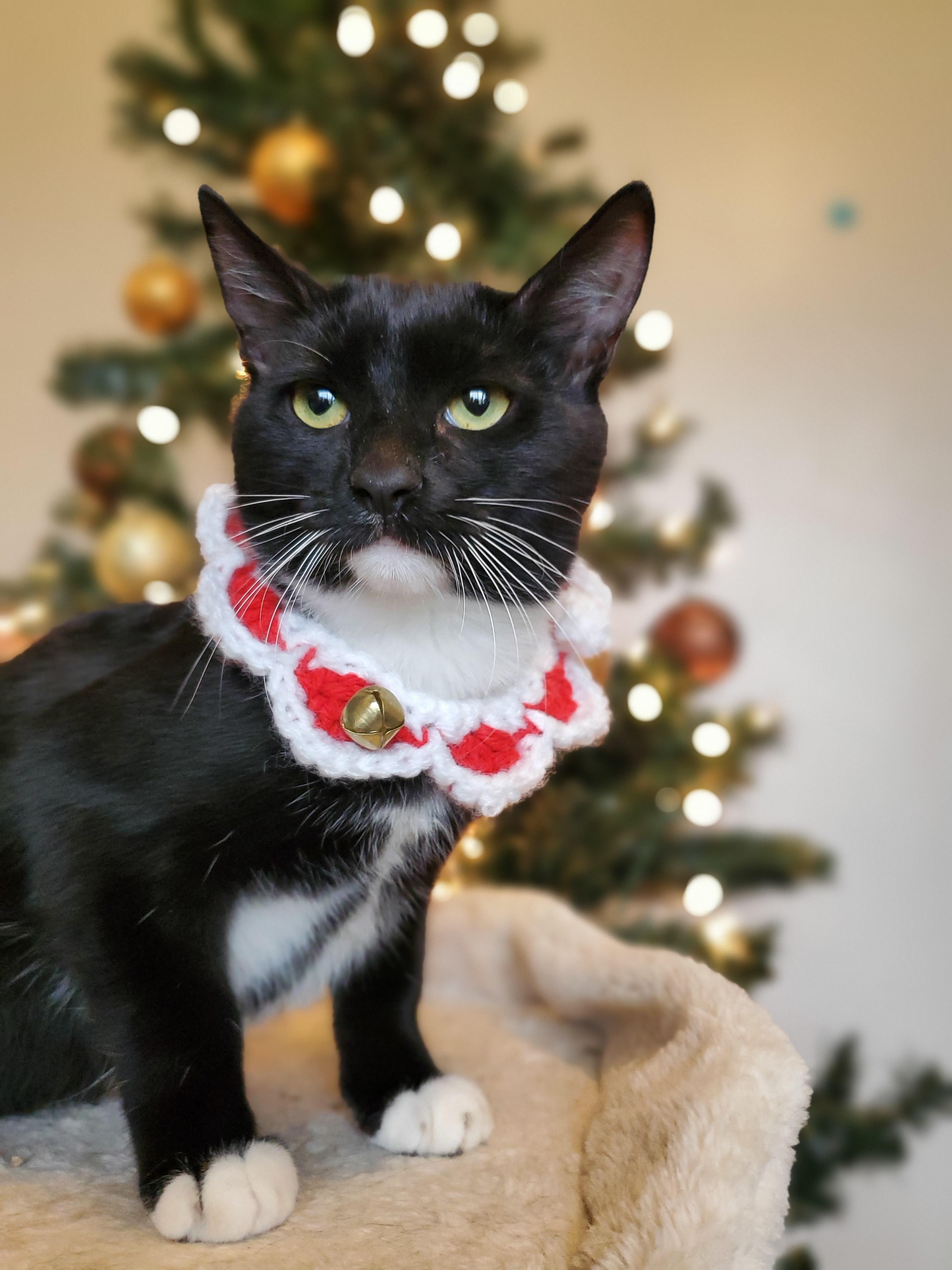 Kílauea thumbnail 3