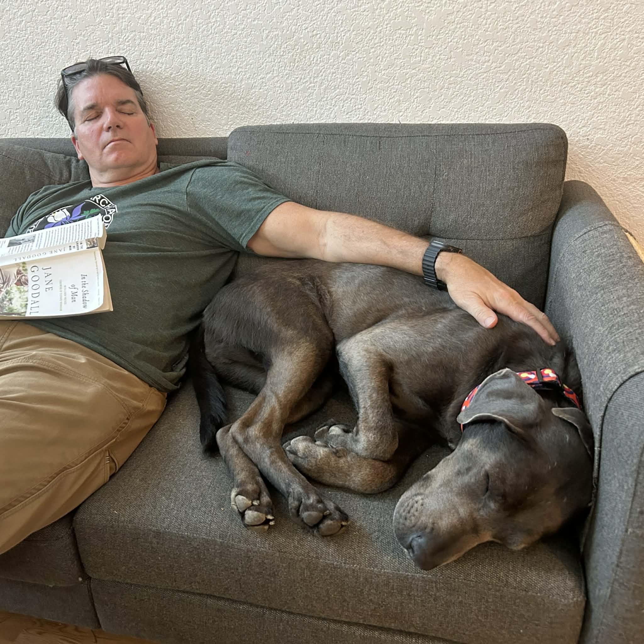 Enlarge Yuki, a ADOPTABLE mixed breed in Boulder, CO image 5/6