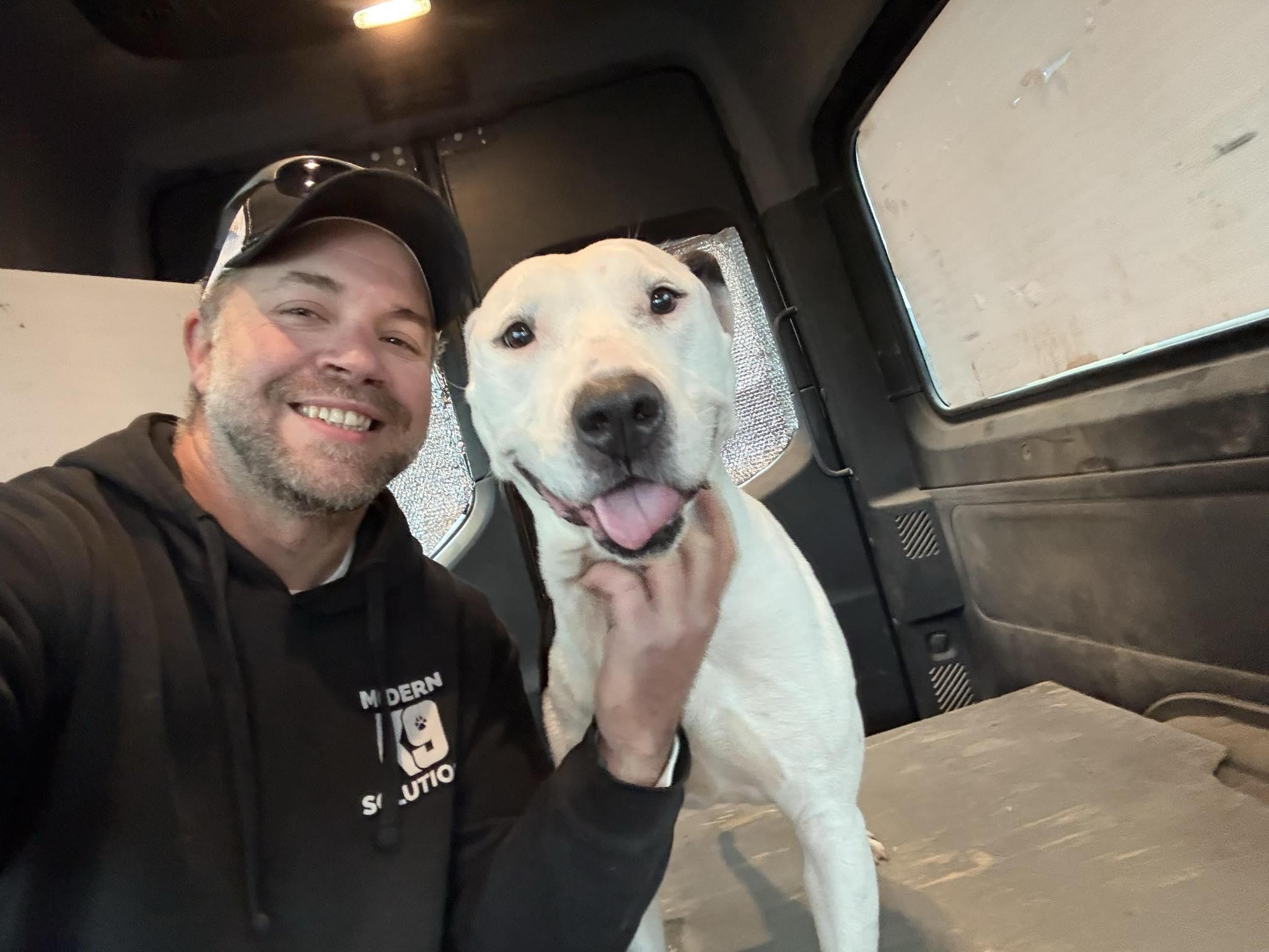 Enlarge Shirley, a ADOPTABLE mixed breed in O Fallon, IL image 2/3