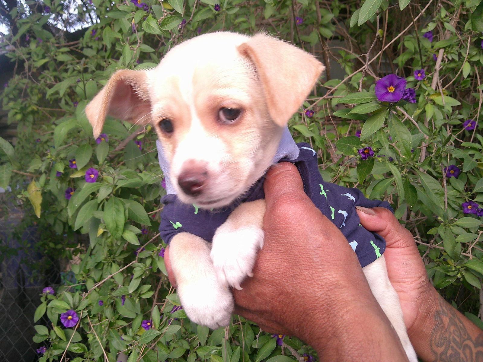 Diamon.. thumbnail 3