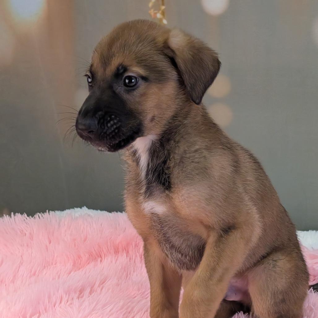 Drummer Boy — thumbnail 2