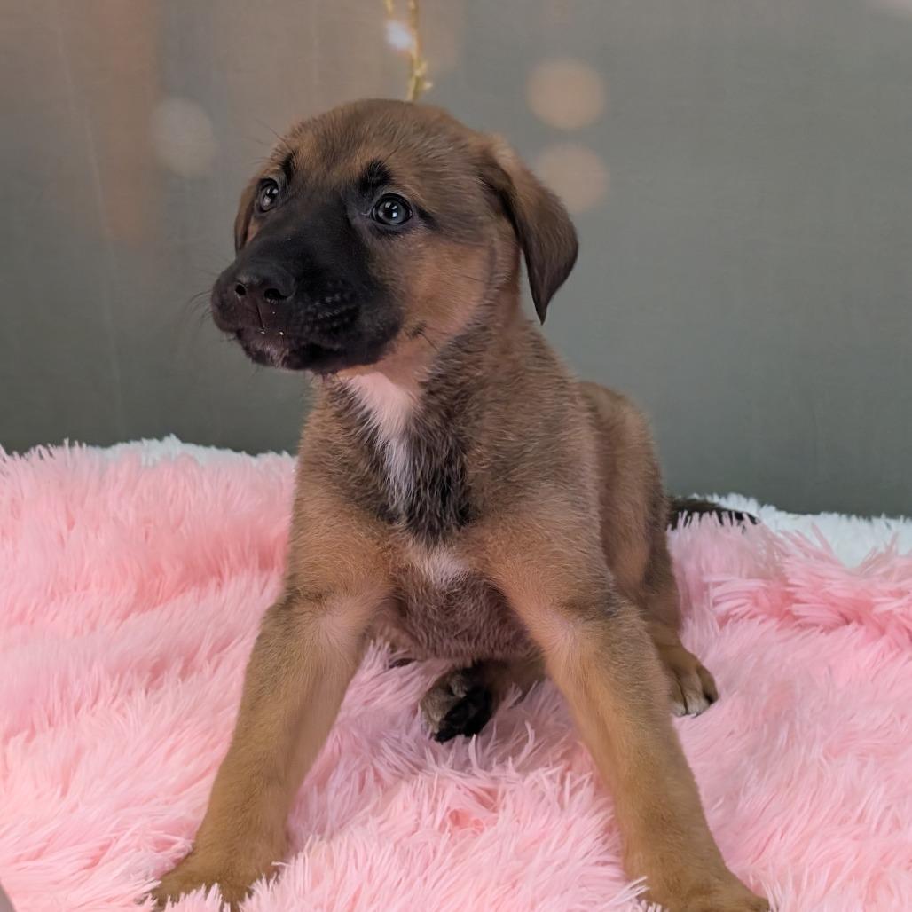 Drummer Boy — thumbnail 3