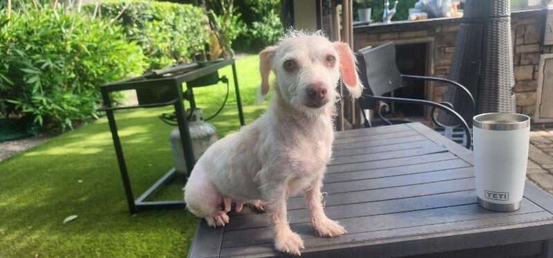 Willa Jean — thumbnail 2