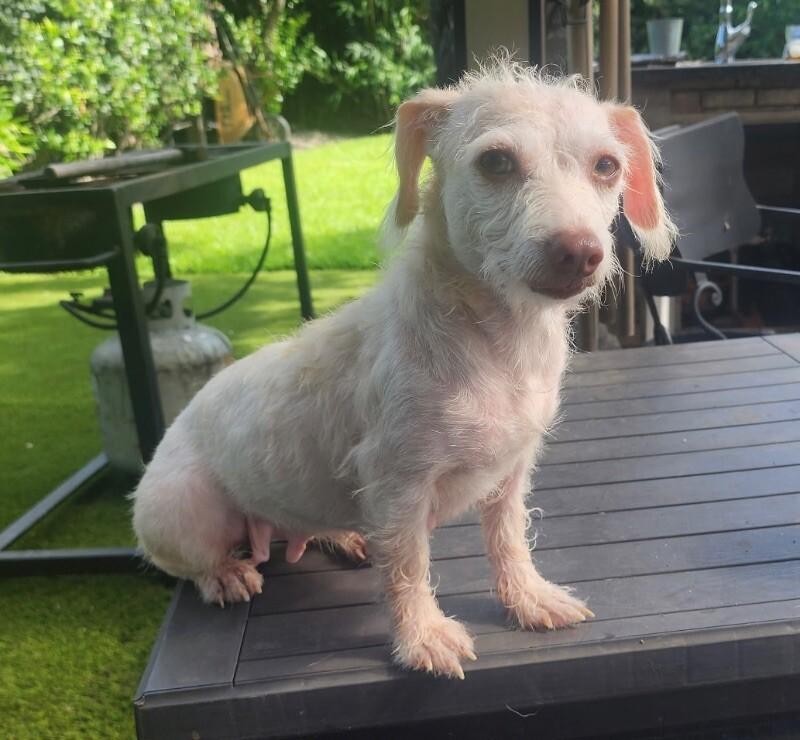 Willa Jean — thumbnail 3