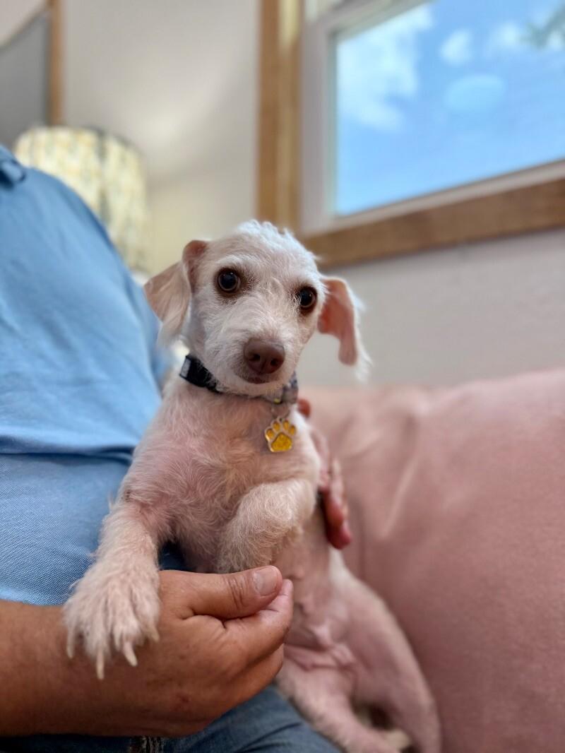 Willa Jean — thumbnail 5