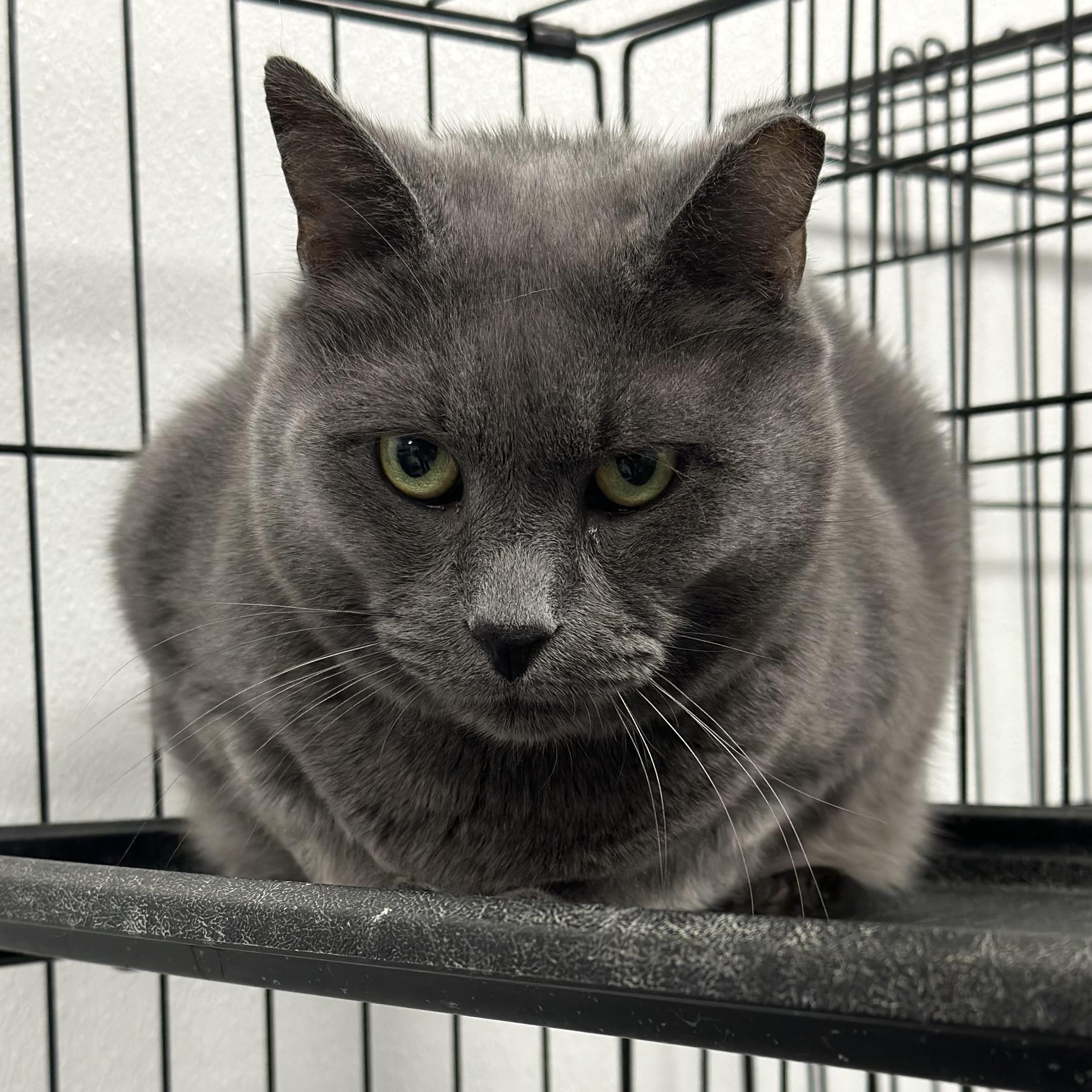 Smokey photo 2
