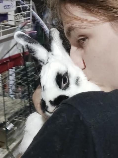 Peppermint Patty & Schroeder, Adoptable, Young Male Bunny Rabbit.