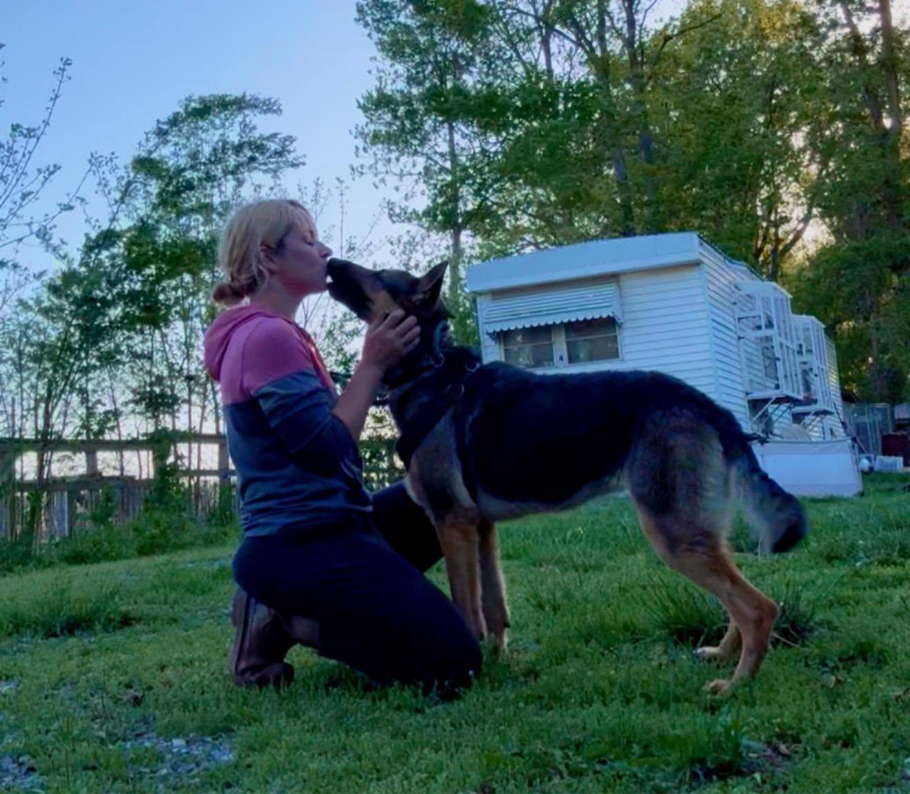 Enlarge Glory, a ADOPTABLE German Shepherd Dog in Royalton, IL image 3/6