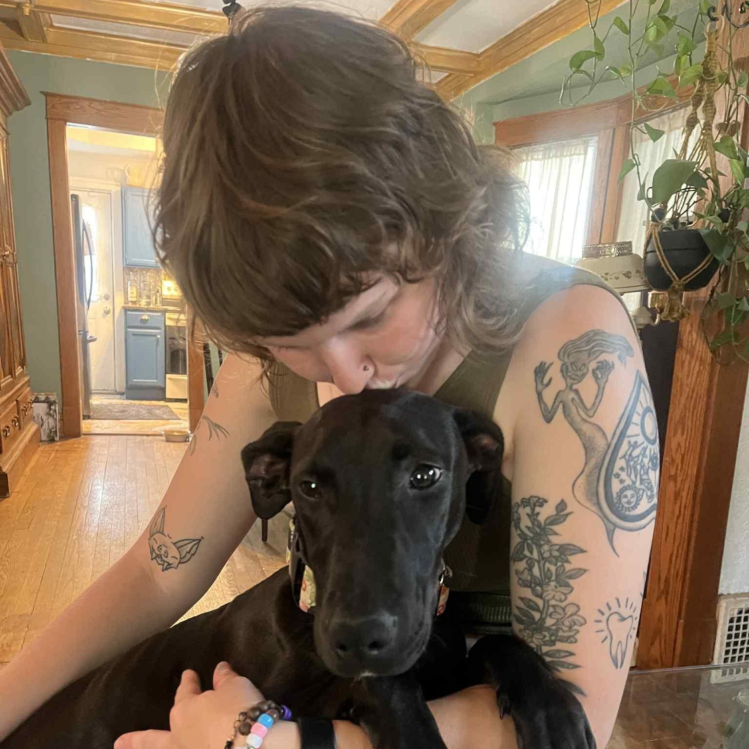 Enlarge Mango, a Adoptable mixed breed in Kansas City, MO image 4/6