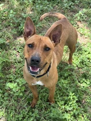 Sears — thumbnail 2