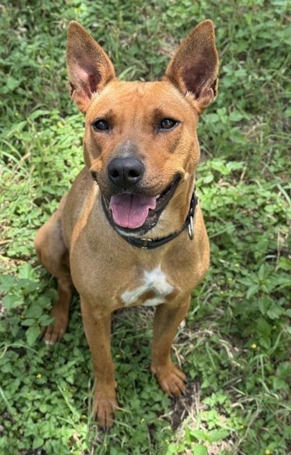 Sears — thumbnail 3