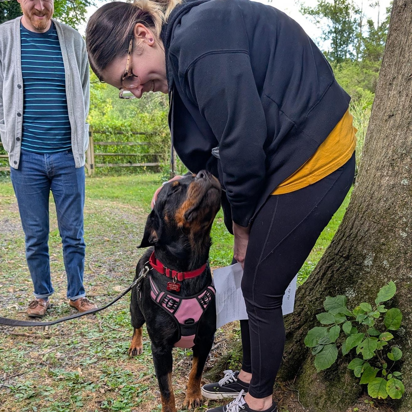Xena, a Adoptable Rottweiler in Perkasie, PA image 4/6