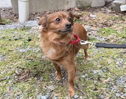 Lexi — thumbnail 2