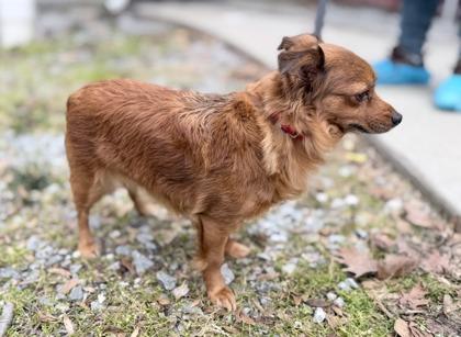 Lexi — thumbnail 3