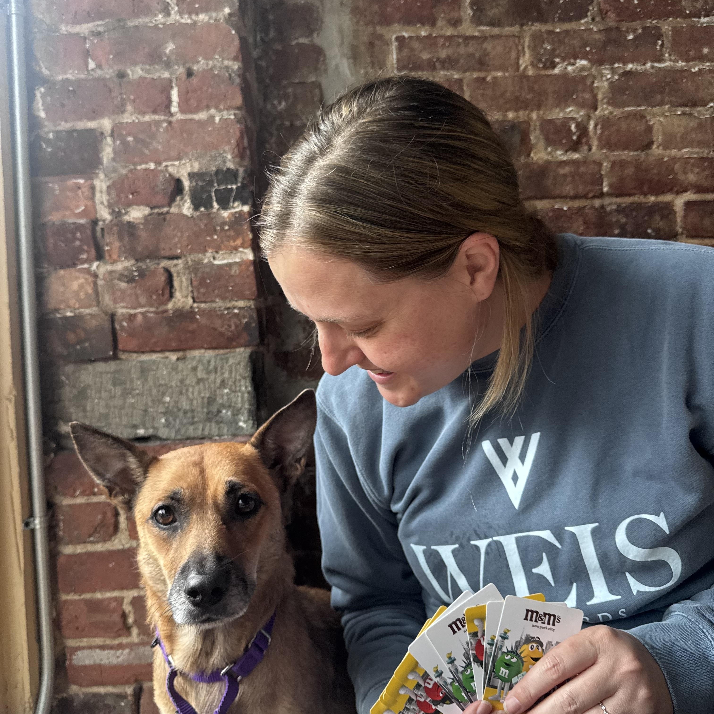 Enlarge Becca, an adopted mixed breed in Brooklyn, NY image 4/6