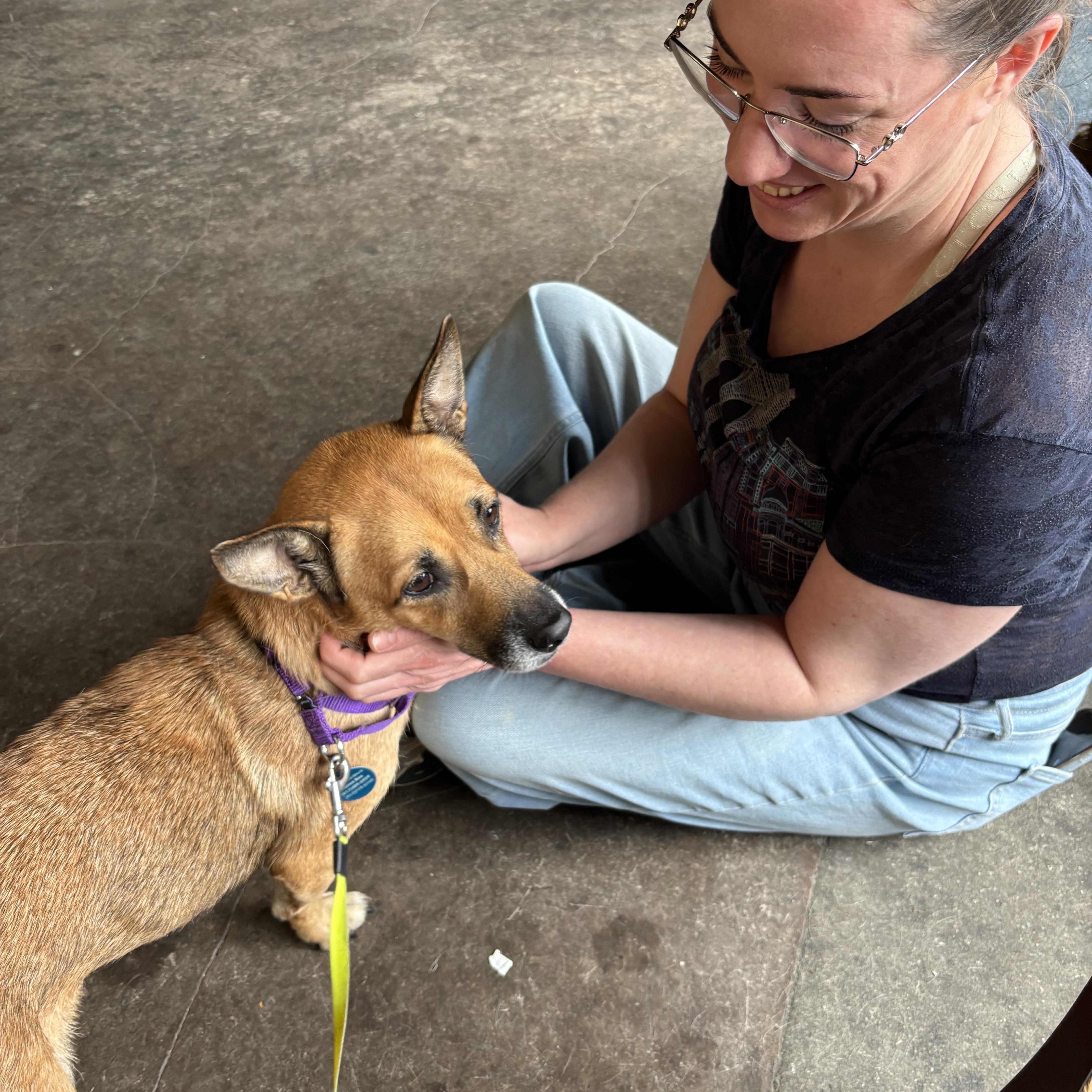 Enlarge Becca, an adopted mixed breed in Brooklyn, NY image 6/6