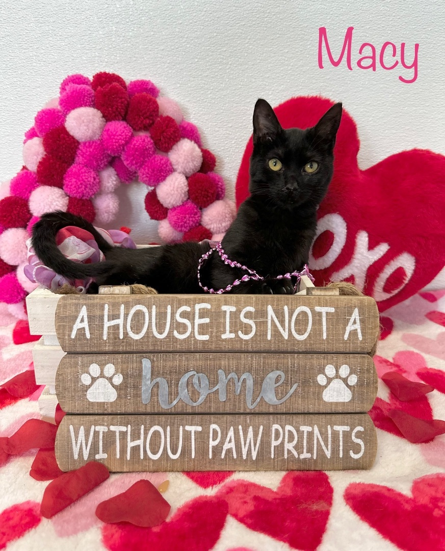 Macy